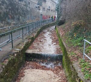 Primăria | MyTex.ro