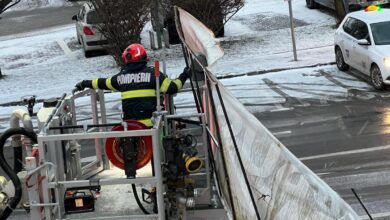 Intervenții | MyTex.ro