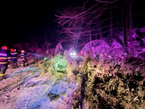 Intervenții | MyTex.ro