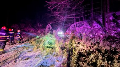 Intervenții | MyTex.ro