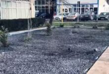 Aeroportul Brașov | MyTex.ro