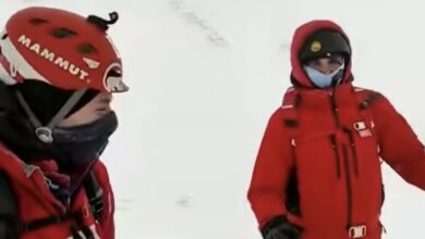 nicușor dan | MyTex.ro