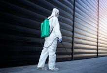 Pregătiri pentru redeschiderea Cetății Râșnov | MyTex.ro