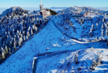 Catedrală | MyTex.ro