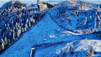 Poiana Braşov | MyTex.ro