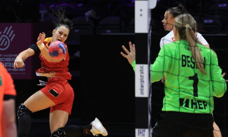 Ce va alege Rebeca Necula