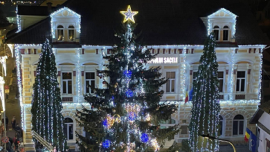 Asociație | MyTex.ro