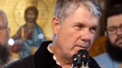 Catedrală | MyTex.ro