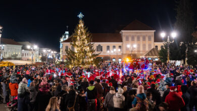 Prețuri și preferințe la imobiliare | MyTex.ro