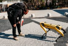 Gabi Tamaş, o nouă provocare. Campionul Asia Express, aventură în junglă. Pe urmele unui alt braşovean 5 Gabi Tamaş