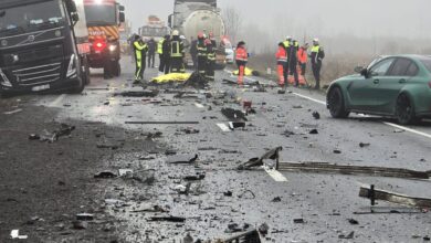 Horia Constantinescu | MyTex.ro