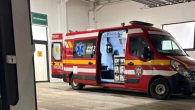 Vitamina D | MyTex.ro