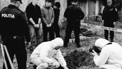 Medicul Amin Zahra (Brașov), după crima șocantă din Timiș: „Siguranța comunității noastre depinde de legi care să privească realitatea în ochi, nu de praguri de vârstă care ignoră pericolul" 5 | MyTex.ro