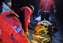 Horia Constantinescu | MyTex.ro