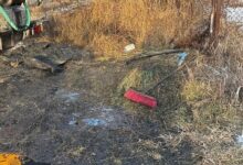 Măicuță | MyTex.ro