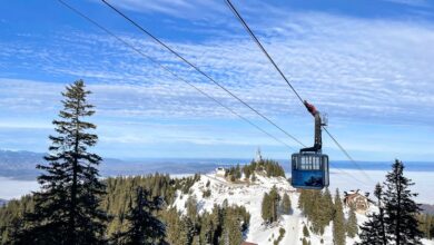 Primăria Brașov | MyTex.ro