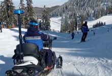 Sute de misiuni și amenzi de aproximativ 300.000 de lei - bilanțul structurilor de Jandarmerie din Brașov 3 | MyTex.ro