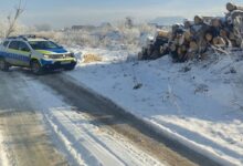 A minţit că a născut 5 copii ca să primească ajutor | MyTex.ro