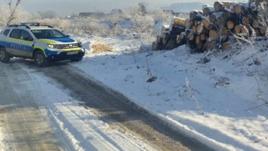 Ocol silvic | MyTex.ro