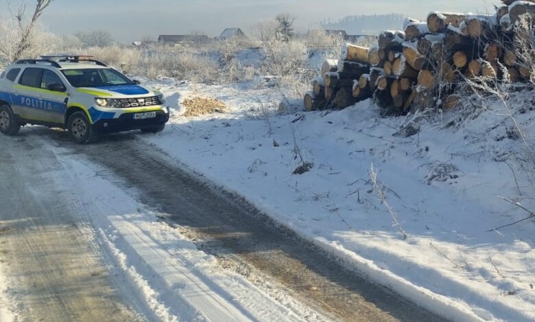 Nereguli la un ocol silvic din județul Brașov / Sechestru pe un ansamblu auto 3 Ocol silvic | MyTex.ro