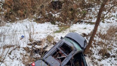 Horia Constantinescu | MyTex.ro