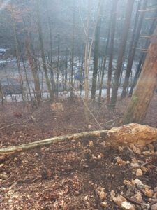 Intervenție de urgență în Brașov, după o alunecare de teren (foto) 28 alunecare | MyTex.ro