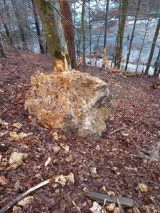 Intervenție de urgență în Brașov, după o alunecare de teren (foto) 26 alunecare | MyTex.ro