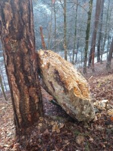 Intervenție de urgență în Brașov, după o alunecare de teren (foto) 27 alunecare | MyTex.ro