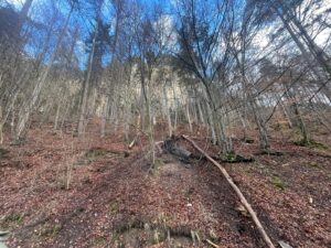 Intervenție de urgență în Brașov, după o alunecare de teren (foto) 29 alunecare | MyTex.ro