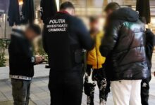 Acțiuni ample ale Poliției Municipiului Brașov pentru siguranța publică, în zonele comerciale și de agrement 5 Ziua Crucii | MyTex.ro