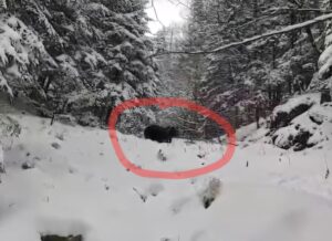 Avertizare | MyTex.ro