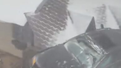 salvamont | MyTex.ro