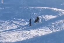 SRI face angajări | MyTex.ro