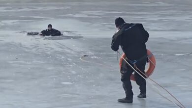 Scafandrii | MyTex.ro