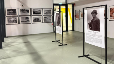 Oferte foarte bogate de weekend pentru timp liber | MyTex.ro