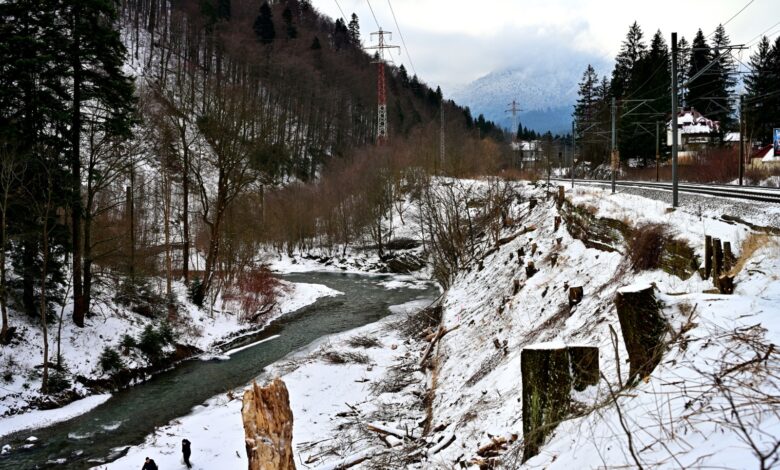 Centura Bușteni–Azuga NU este în pericol. Verificări în teren după defrișări. Ce se schimbă pentru traficul de pe DN 1 3 Centura | MyTex.ro