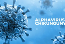 ALERTĂ ÎN ROMÂNIA. Primul caz de infectare cu virusul Chikungunya, confirmat la un pacient revenit din Africa 3 | MyTex.ro