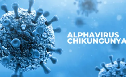 ALERTĂ ÎN ROMÂNIA. Primul caz de infectare cu virusul Chikungunya, confirmat la un pacient revenit din Africa 3 România | MyTex.ro