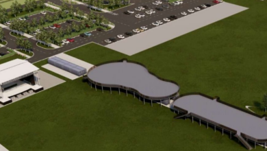 S-a câștigat marele jackpot | MyTex.ro