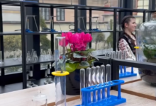 Râșnovul | MyTex.ro