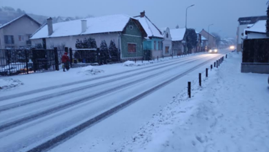 România îngheață: ger extrem, ninsori și viscol. Până și cel mai cald oraș din țară intră sub temperaturi de -10 grade 13 Cățelușă | MyTex.ro
