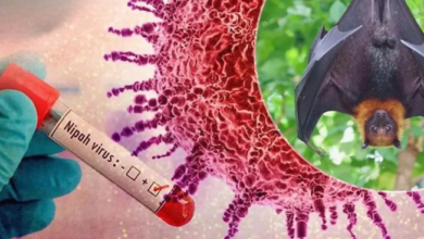 Horia Constantinescu | MyTex.ro