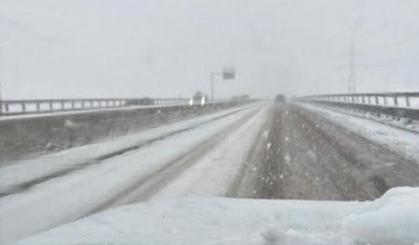 Ocolitoare | MyTex.ro