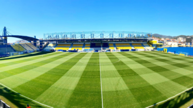 Dennis Politic | MyTex.ro