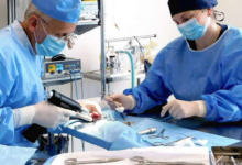 PartnerVet se extinde în Brașov prin preluarea Clinicii Veterinare Lempeș, un reper al medicinei veterinare locale 3 | MyTex.ro