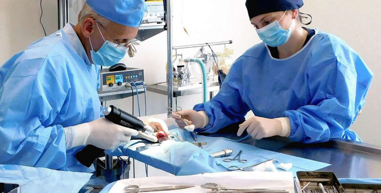 PartnerVet se extinde în Brașov prin preluarea Clinicii Veterinare Lempeș, un reper al medicinei veterinare locale 3 Braşov | MyTex.ro