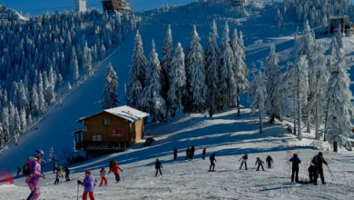 Poiana Braşov | MyTex.ro