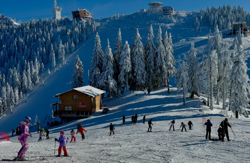 Poiana Braşov | MyTex.ro