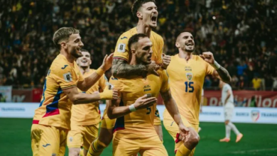 Horia Constantinescu | MyTex.ro