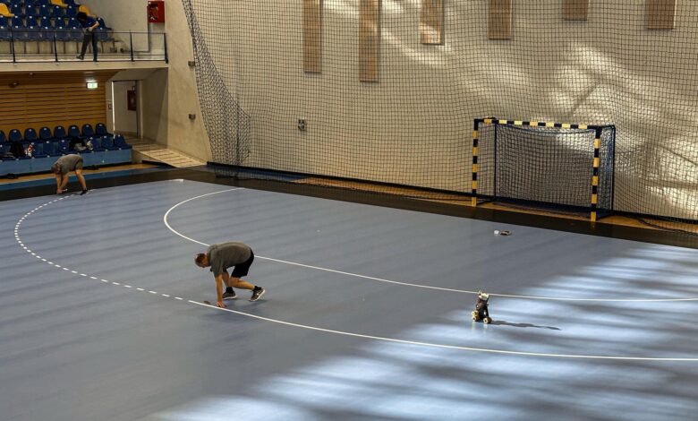 Unde se vede la TV meciul Corona Braşov - Dijon 3 Corona Braşov | MyTex.ro